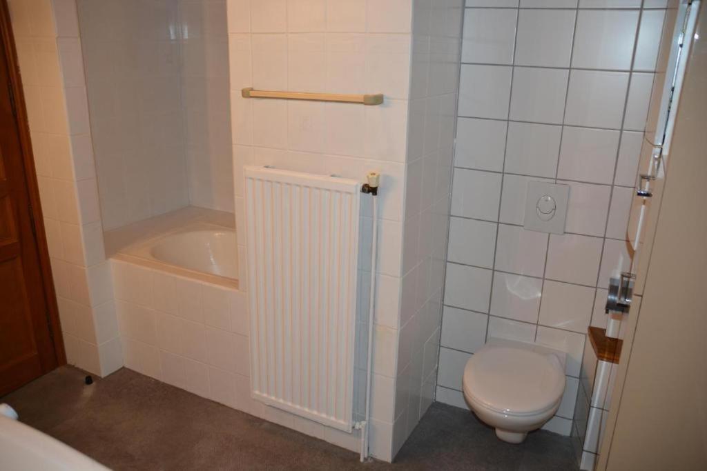 Le Cerf Apartment Colmar Bagian luar foto