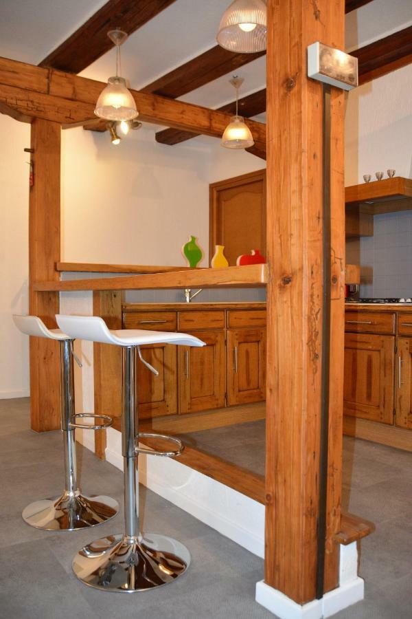 Le Cerf Apartment Colmar Bagian luar foto